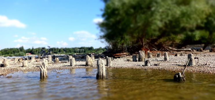 Tudjátok, mik azok a cölöpsorok a Hajógyári sziget végében?