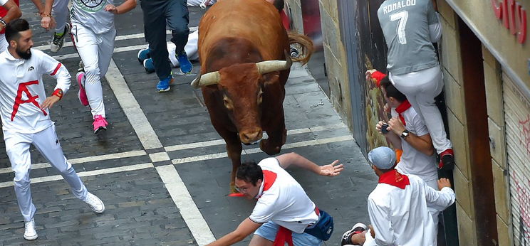 Pamplonában megint a bikák győztek, meg az emberi állatság