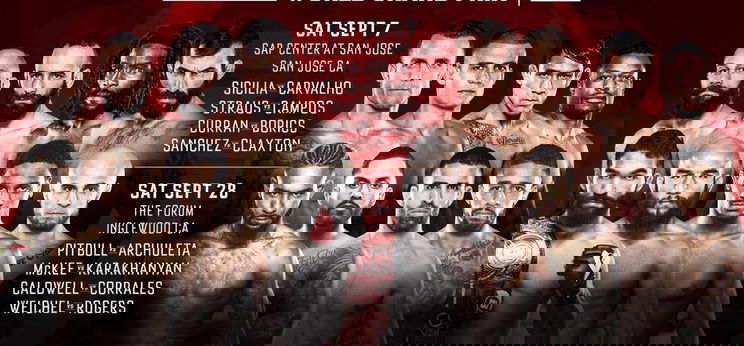 A repülőrúgó magyar MMA-s szeptemberben csaphat le újra