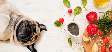 Így vásárolnak a hazai vegánok kozmetikumokat