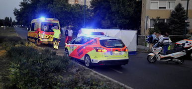A gázoló férfi levelet írt és találkozna L.L. Juniorékkal
