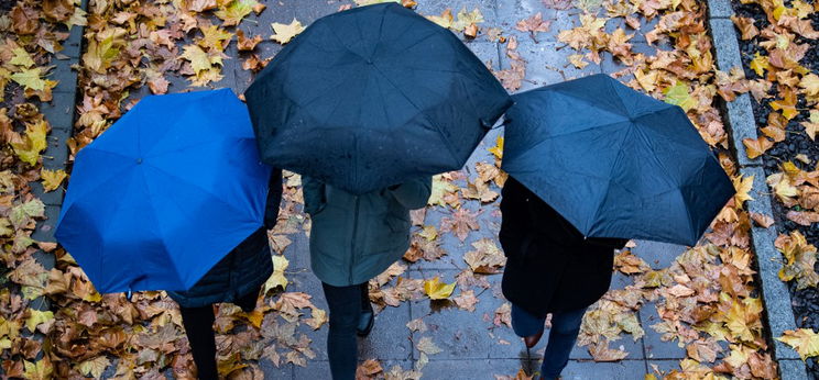 Őszies lesz 2019 karácsonya
