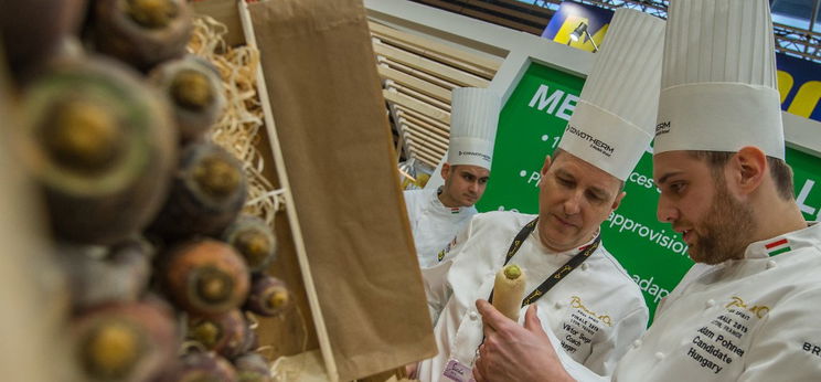 Bocuse d'Or: fürj és pisztráng – nehéz feladat előtt állnak a szakácsok