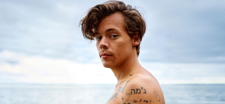 Harry Styles új klipje mindenkinek meghozza a nyári hangulatot