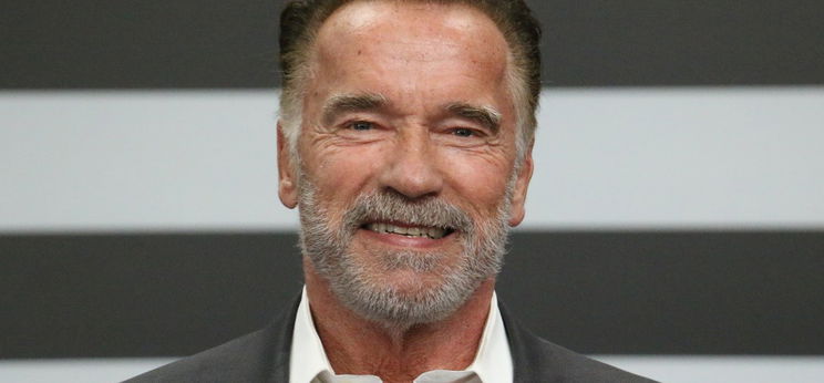 Nagyon cuki taggal bővült a Schwarzenegger-család – kép