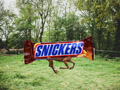 Egy állatról kapta a nevét a Snickers-csoki, erre sosem gondoltál volna