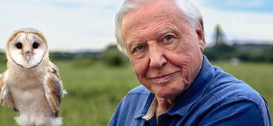 Jön David Attenborough új sorozata, a Life in Color