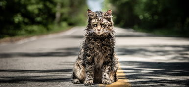 Fantasztikus hírt kaptak Stephen King rajongói, erre senki sem számított!