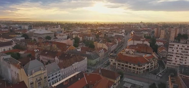 Egy részeg randalírozott Miskolcon, utána pedig jöttek a vaddisznók - videó