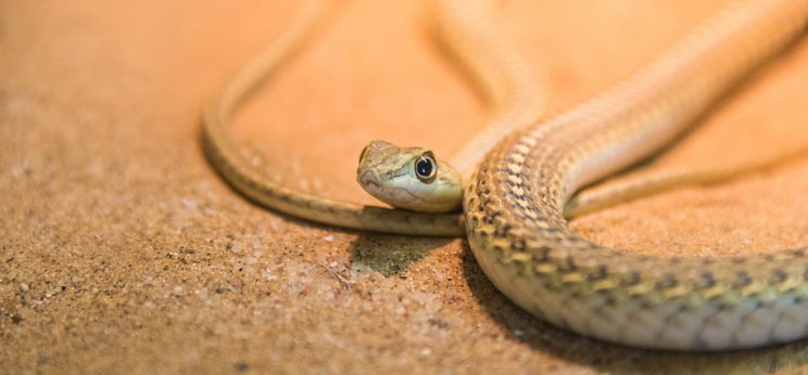 Leereszkedtek a Pokol kútjába, és elképesztő dolgokat találtak 