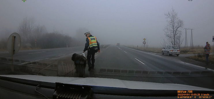 Magyar rendőröknek köszönheti életét Sajó, az elszökött kutya – videó