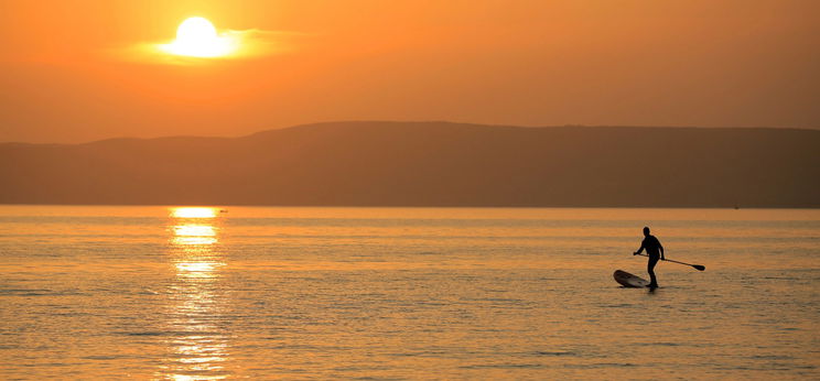 Vigyázat: új állatfaj jelent meg váratlanul a Balatonban