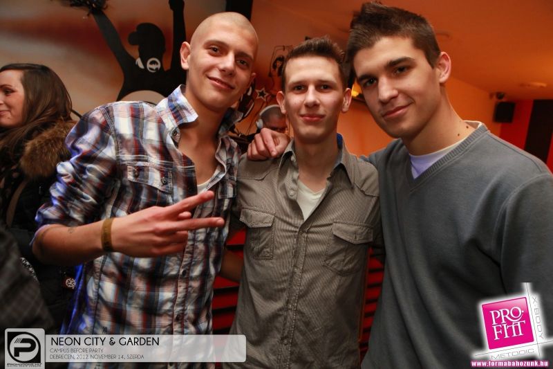 Debrecen, Neon City & Garden - 2012. November 14.,  Szerda