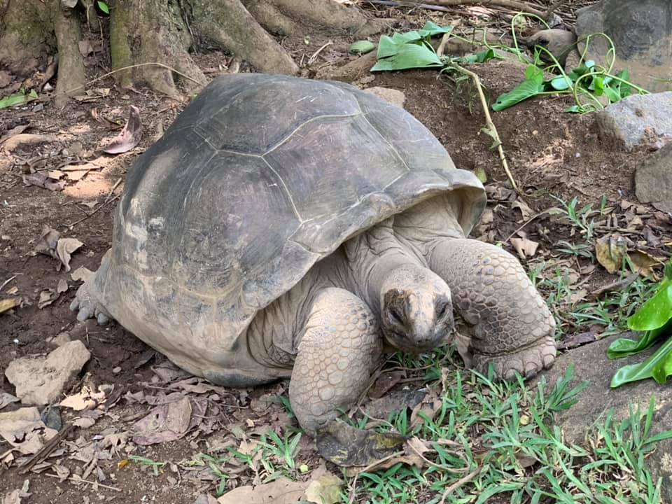 A túlárazott Seychelle-sziget és a világ legkisebb Hiltonja